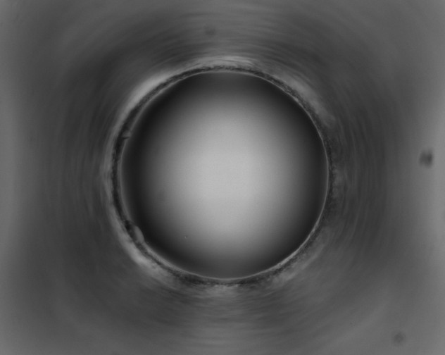 X0000102541038200808081516