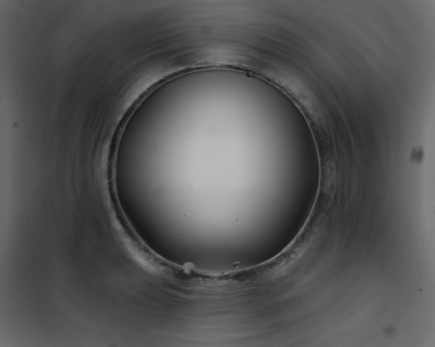 X0000102541039200808081516