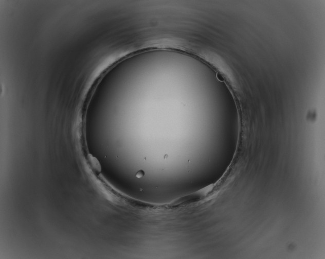 X0000102541040200808081516