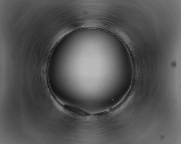 X0000102541041200808081516