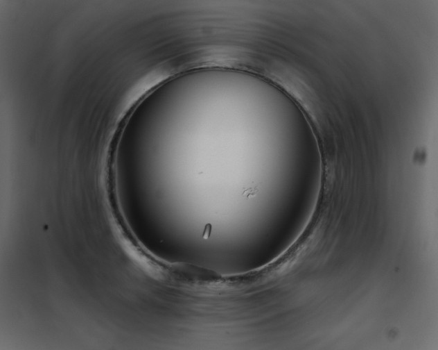 X0000102541042200808081516