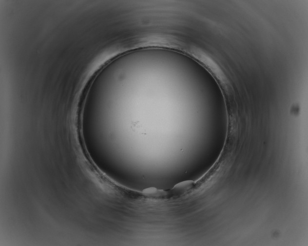 X0000102541043200808081516
