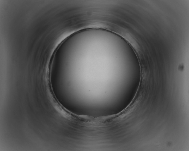 X0000102541044200808081517