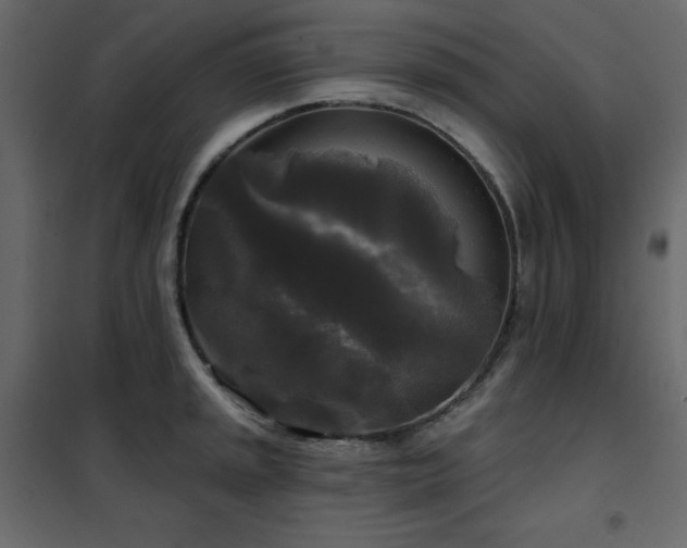 X0000102541045200808081517