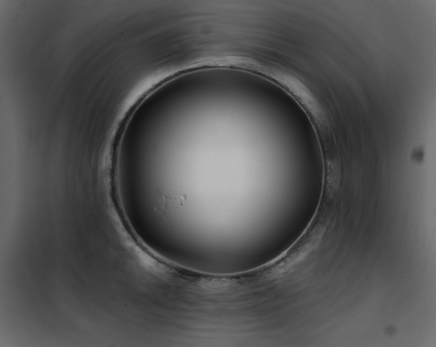 X0000102541046200808081517