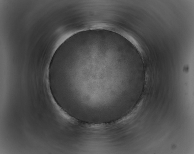 X0000102541047200808081517