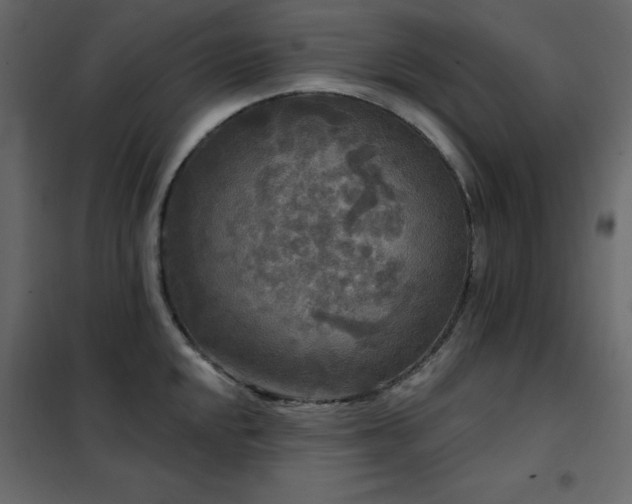 X0000102541048200808081517