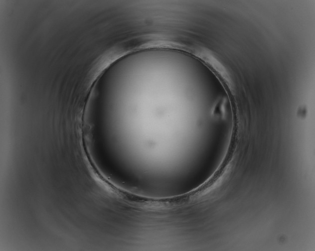 X0000102541049200808081517