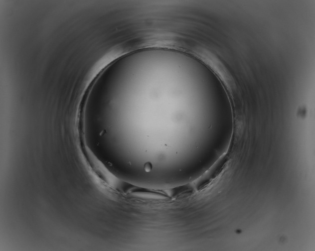 X0000102541050200808081517