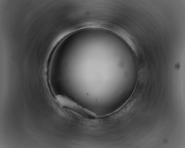 X0000102541051200808081517