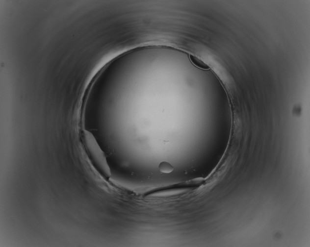 X0000102541052200808081517