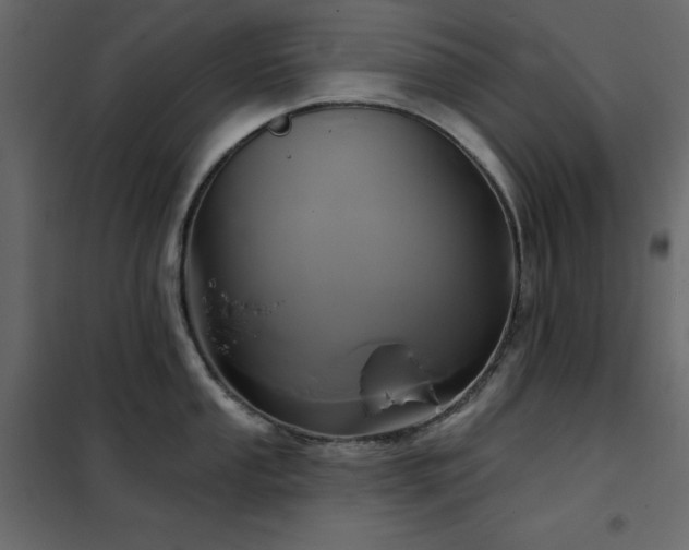 X0000102541053200808081517