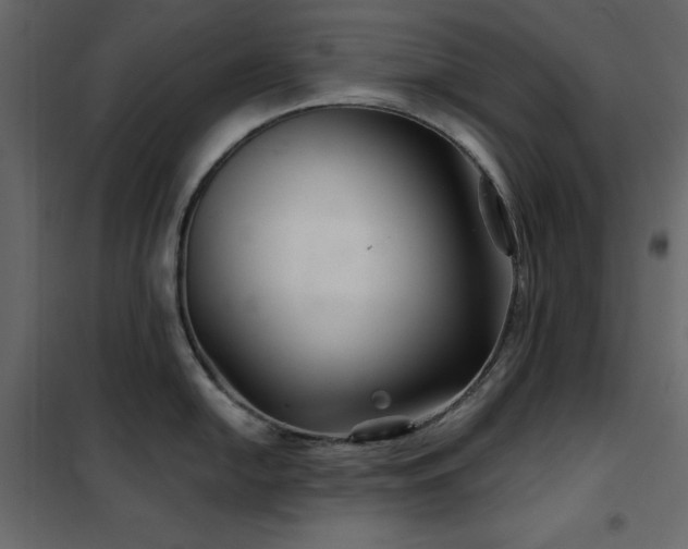 X0000102541054200808081517