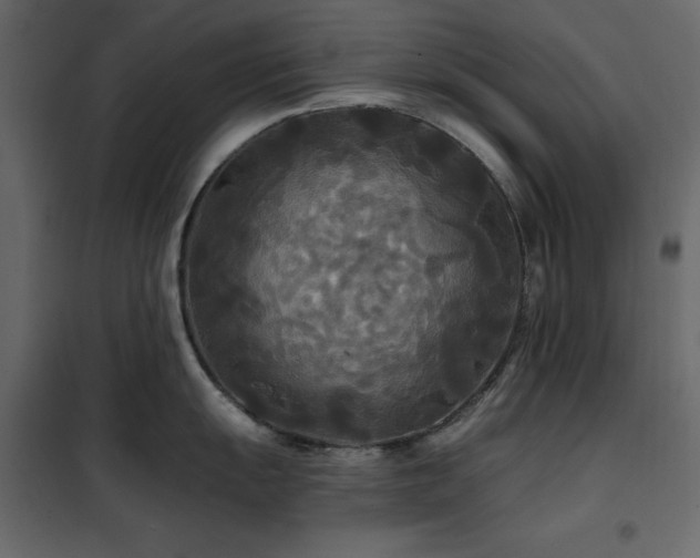 X0000102541055200808081517