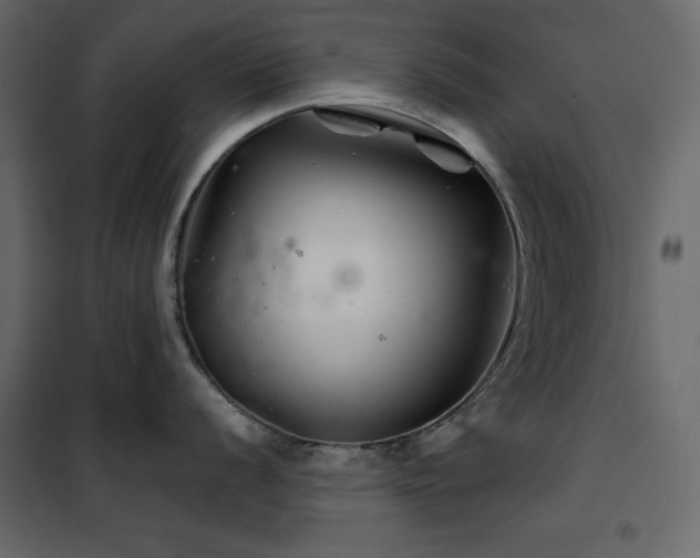 X0000102541056200808081517