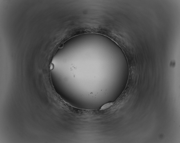 X0000102541057200808081516