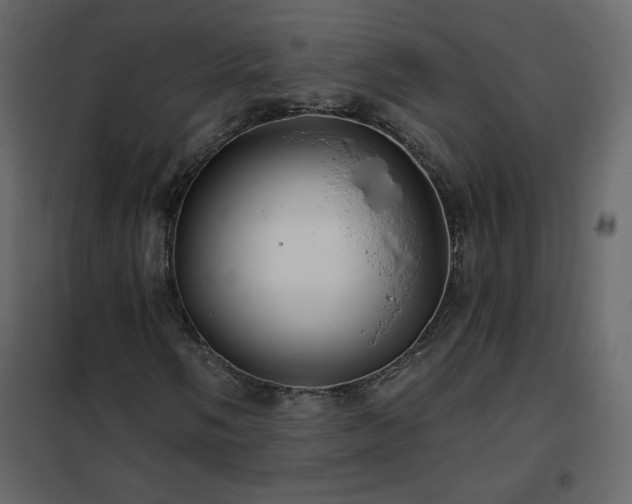 X0000102541058200808081516