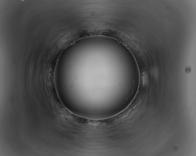 X0000102541059200808081516