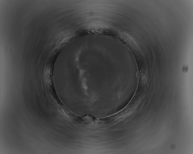 X0000102541060200808081516