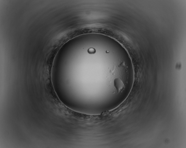 X0000102541062200808081516