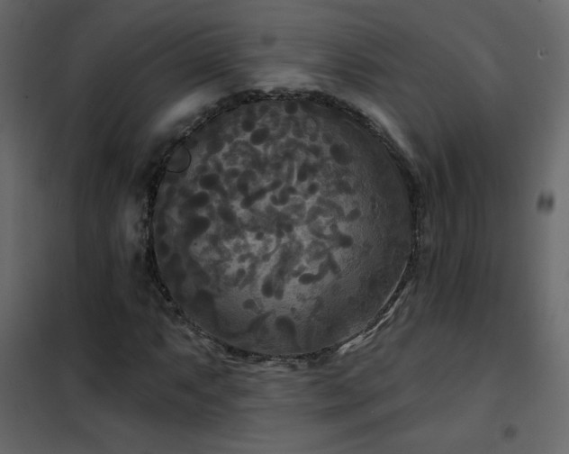 X0000102541063200808081516