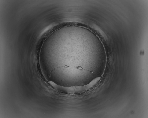 X0000102541064200808081516