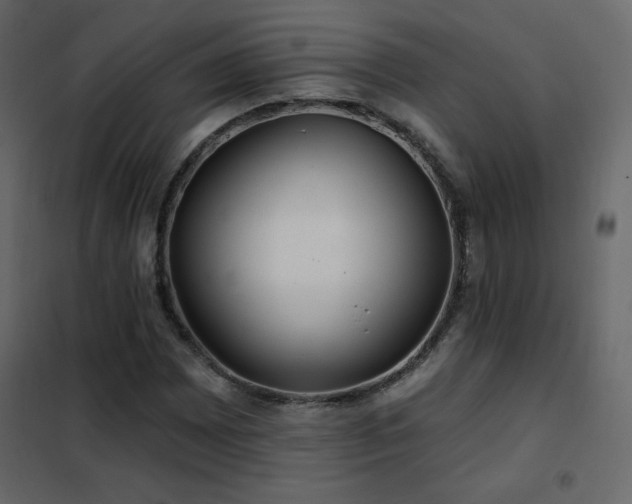 X0000102541065200808081516
