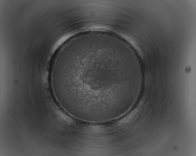 X0000102541066200808081516