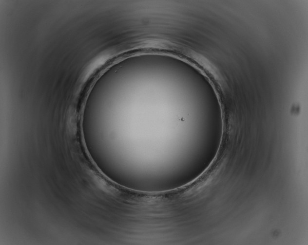 X0000102541067200808081516