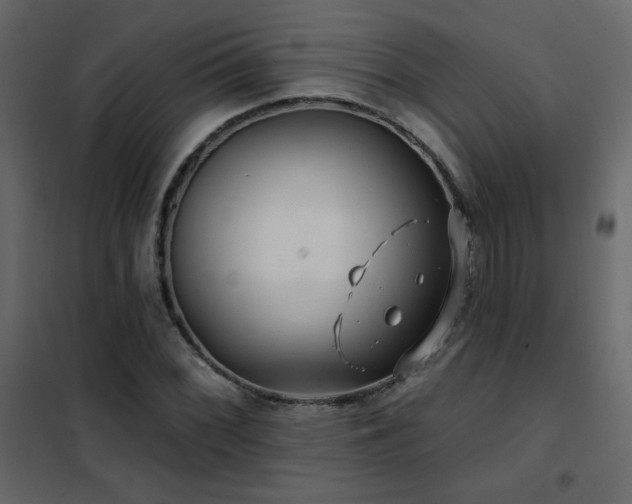 X0000102541068200808081516