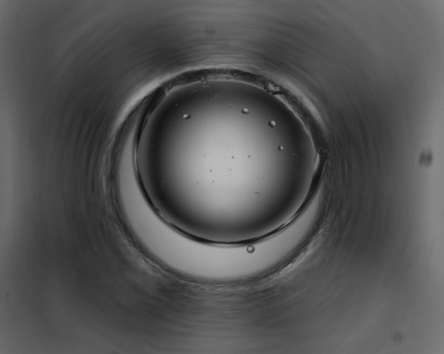 X0000102541069200808081516