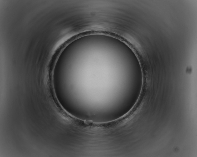 X0000102541070200808081516