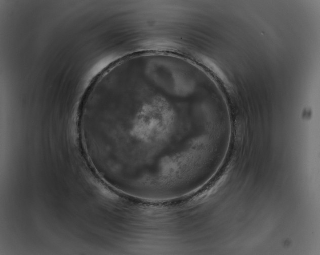X0000102541071200808081516