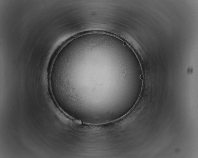 X0000102541072200808081516