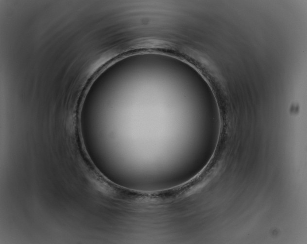 X0000102541073200808081516