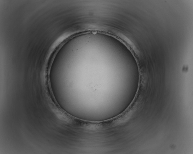 X0000102541074200808081516