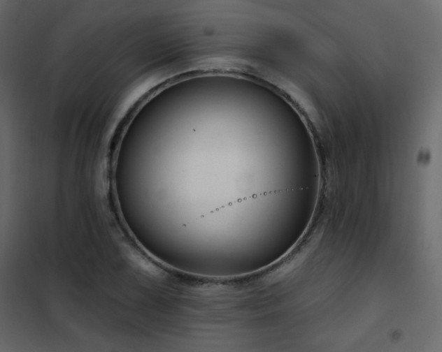 X0000102541075200808081516