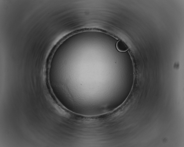 X0000102541076200808081516