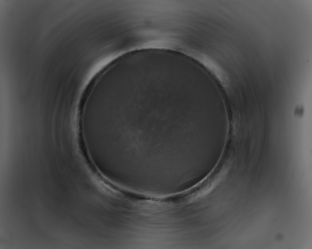 X0000102541077200808081516