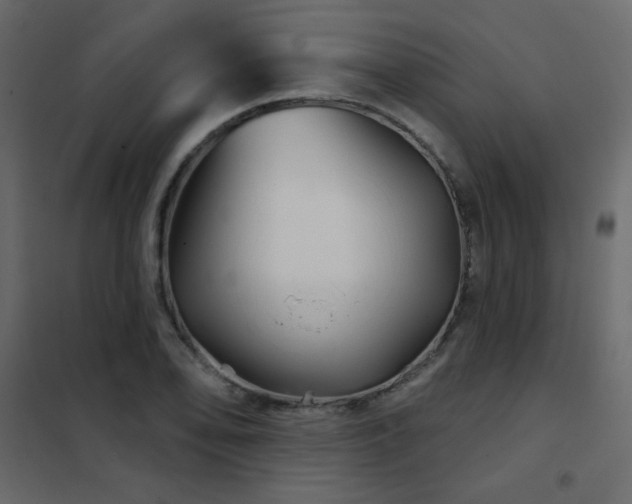 X0000102541078200808081516
