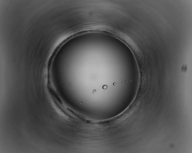 X0000102541079200808081516