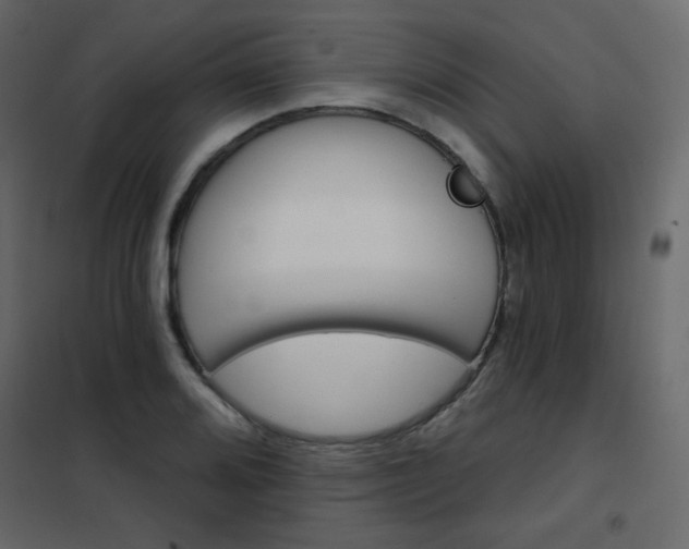X0000102541080200808081516