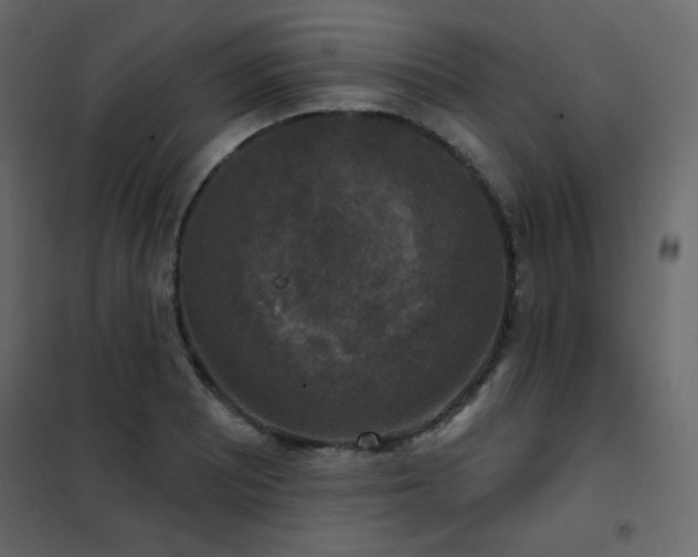 X0000102541081200808081516