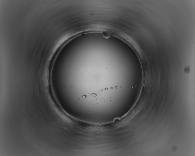 X0000102541083200808081515