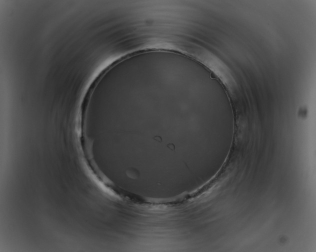 X0000102541084200808081515