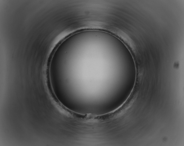 X0000102541085200808081515