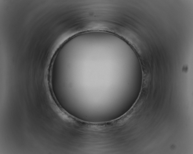 X0000102541086200808081515