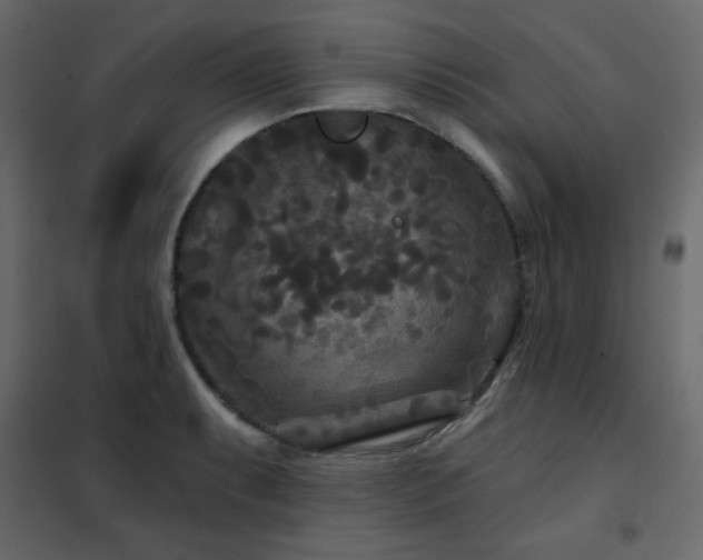 X0000102541087200808081515