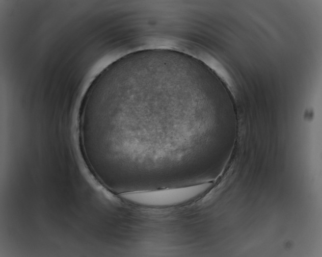 X0000102541088200808081515