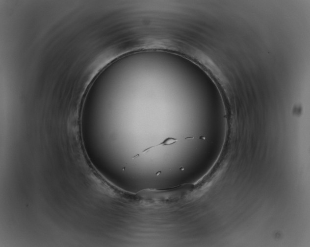 X0000102541089200808081515